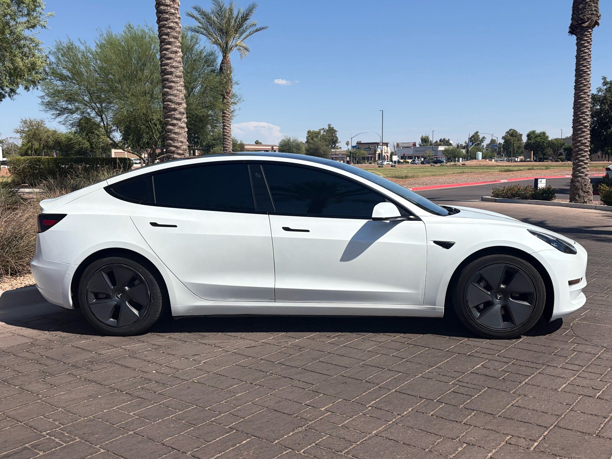 tesla model 3 2021 5YJ3E1EA8MF920956 image tesla model 3 2021 5YJ3E1EA8MF920956 image
